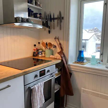Koselig Hus Naert Havet I Lofoten,