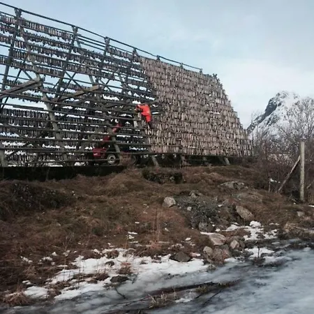 Koselig Hus Naert Havet I Lofoten,