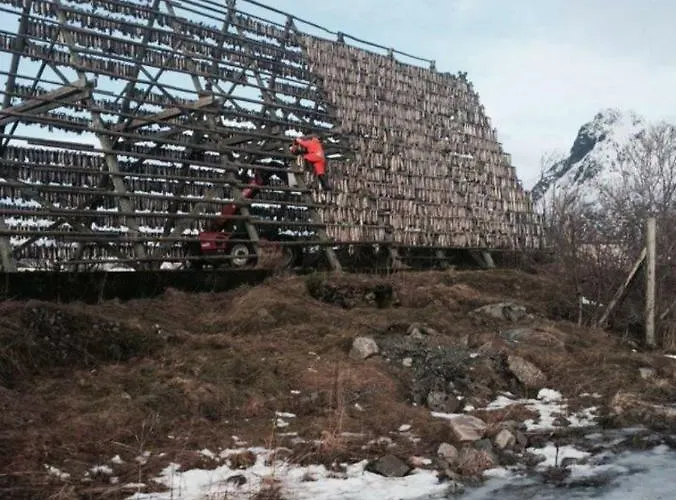 Koselig Hus Naert Havet I Lofoten,
